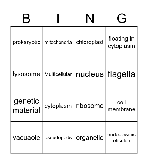 Cells Test Bingo Card