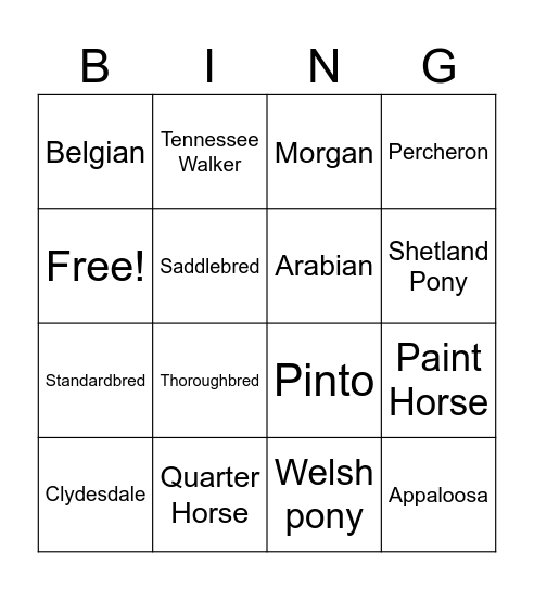 Horse Breeds Bingo Card