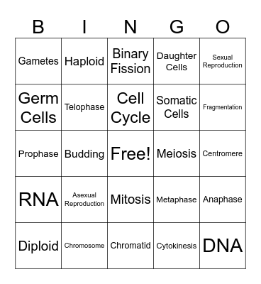 Cell Replication Vocabulary Bingo Card