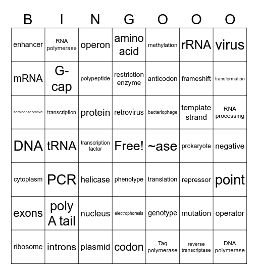 Unit 6 Review Bingo Card