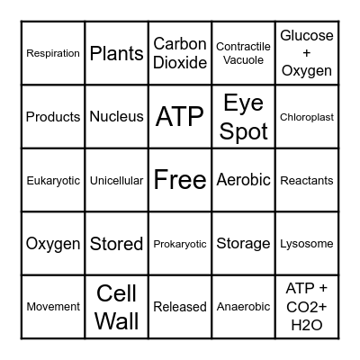 Cell & Energy Bingo Card
