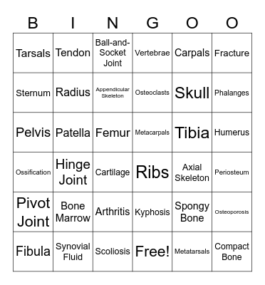 Skeletal System Bingo Card