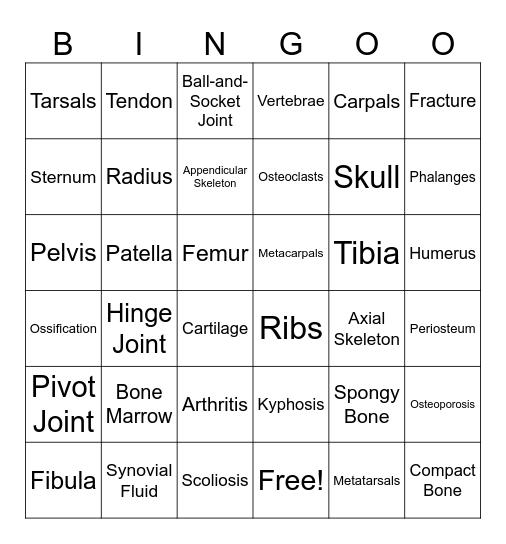 Skeletal System Bingo Card