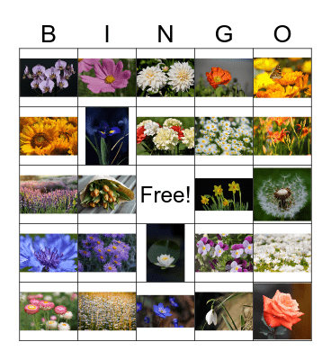 LILLEBINGO Card