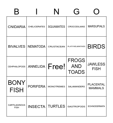 ANIMAL PHYLUM Bingo Card