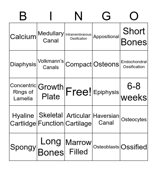 Bone Tissue Bingo Card