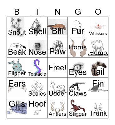 Monster Parts Bingo! Bingo Card