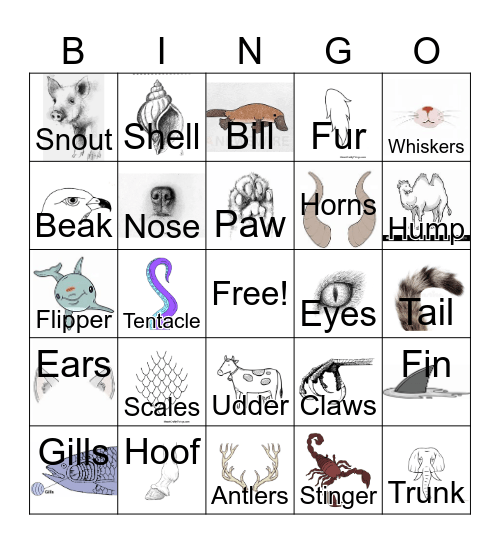 Monster Parts Bingo! Bingo Card