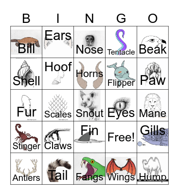 Monster Parts Bingo! Bingo Card