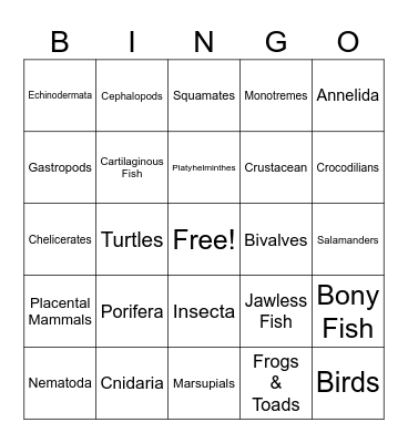 Animal Phylum Bingo Card