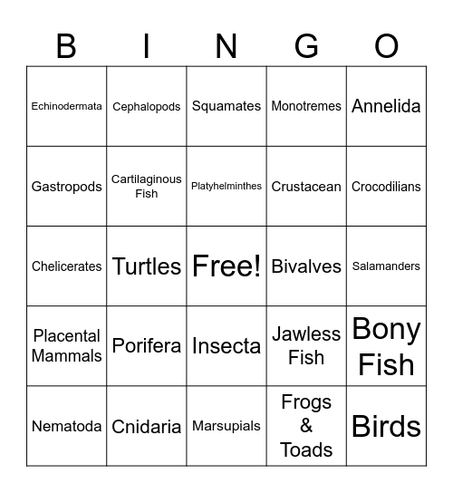 Animal Phylum Bingo Card