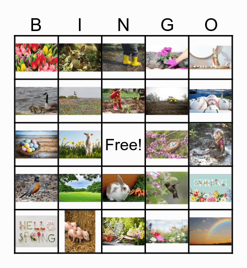 Spring BINGO! Bingo Card