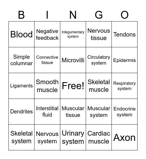 Body Tissues & Organ Systems Bingo Card