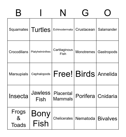 Animal Phylum Bingo Card