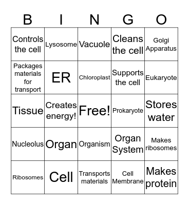 Cells and Organelles!! Bingo Card