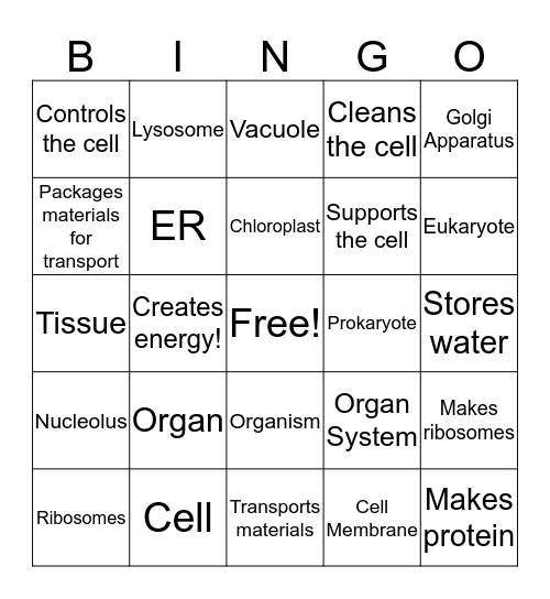 Cells and Organelles!! Bingo Card