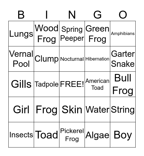 Frogs and Toads Bingo Card