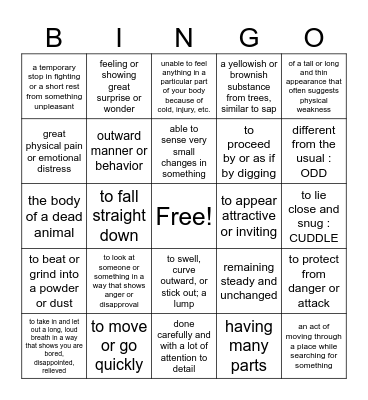 Wild Robot Vocabulary Bingo Card