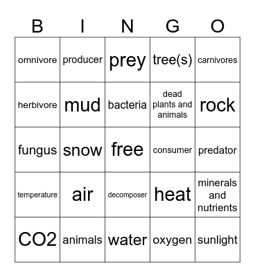 Ecosystem Interactions Bingo Card