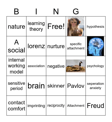 attachment psychology Bingo Card