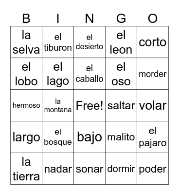 los partes del mundo Bingo Card