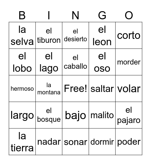 los partes del mundo Bingo Card