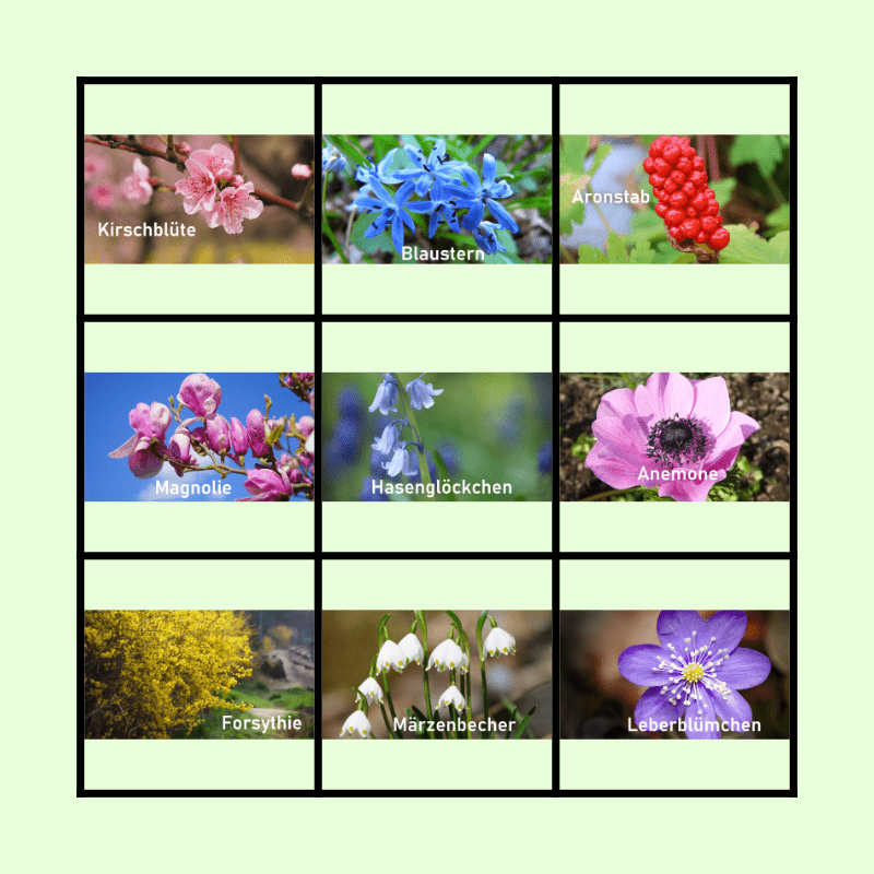 Fruhbluher Allergie Liste 1