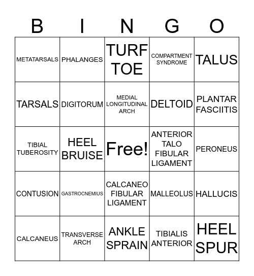 SPORTS MEDICINE CHAPTER 17 Bingo Card