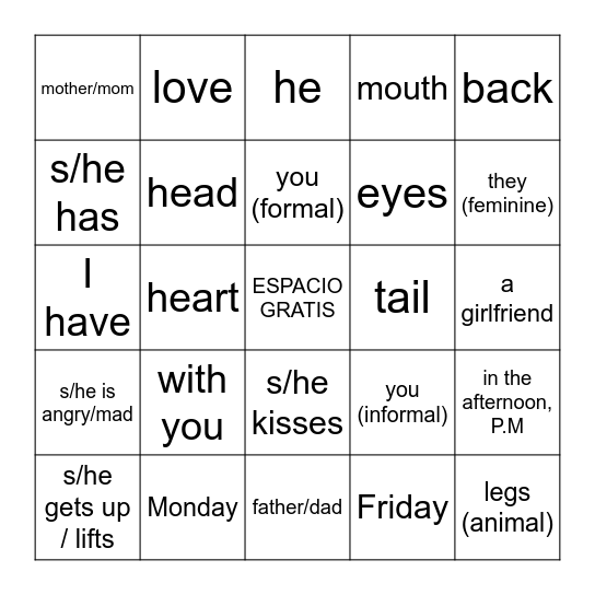 Somos Unidades 5-6 Bingo Card