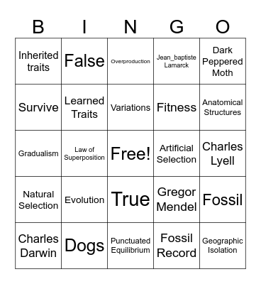 Change Over Time Bingo Card