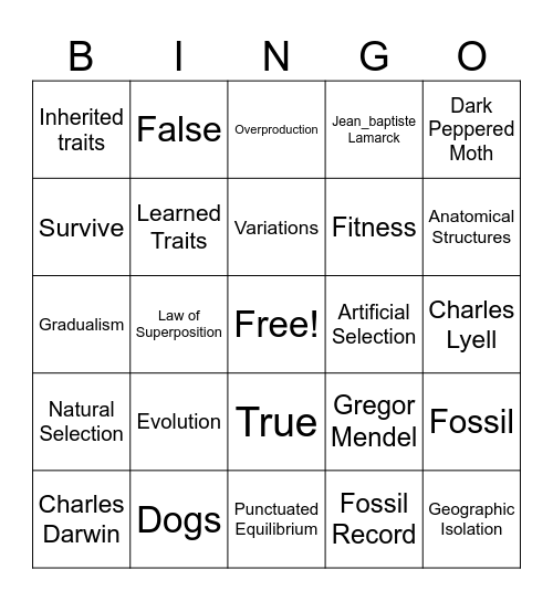 Change Over Time Bingo Card