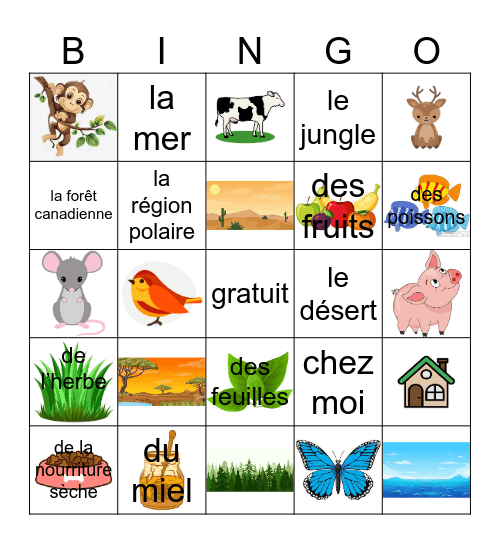 Les animaux, les habitats et la nourriture Bingo Card