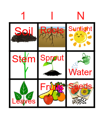 Plants Bingo Card