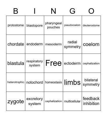 Animal Bingo Card