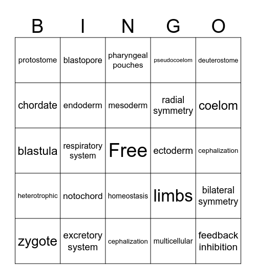 Animal Bingo Card
