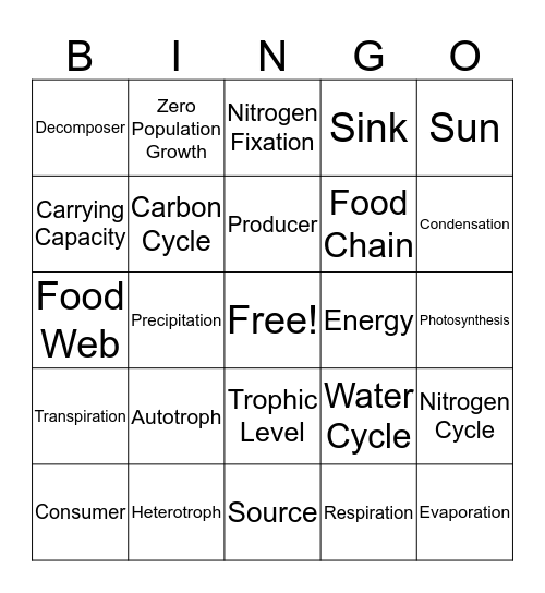 Ecology Review  Bingo Card
