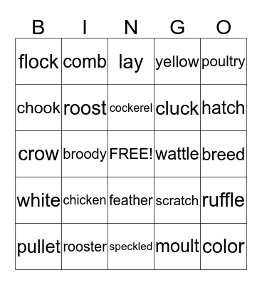 From Egg to Chick Bingo Card
