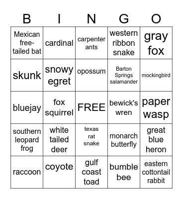 Austin Area Urban Wildlife Bingo Card