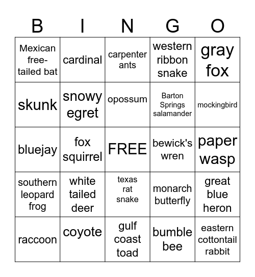 Austin Area Urban Wildlife Bingo Card