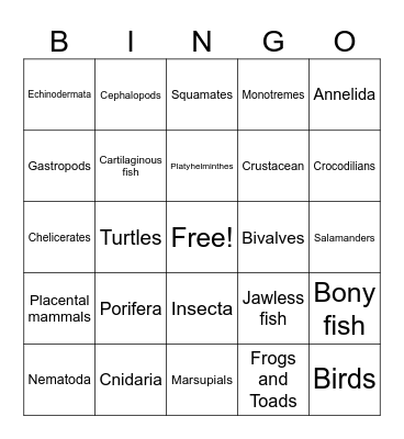 Animal Phylum Bingo Card