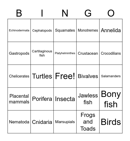 Animal Phylum Bingo Card