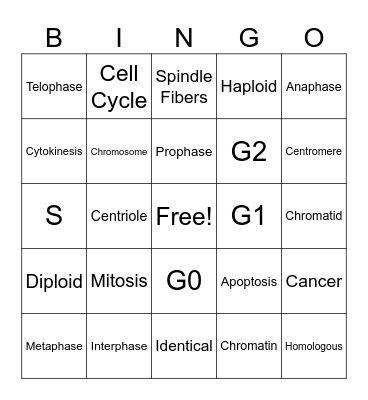 Cell Cycle & Mitosis Bingo Card