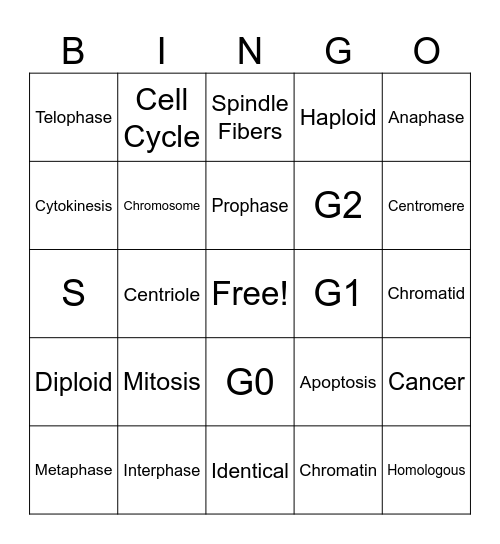 Cell Cycle & Mitosis Bingo Card