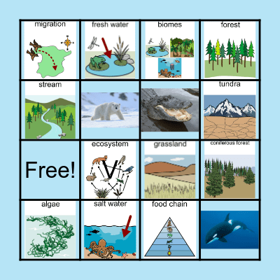 Ecosystems Bingo Card