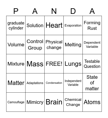 Science Fun! Bingo Card