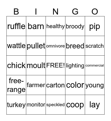 From Chick to Egg Bingo Card
