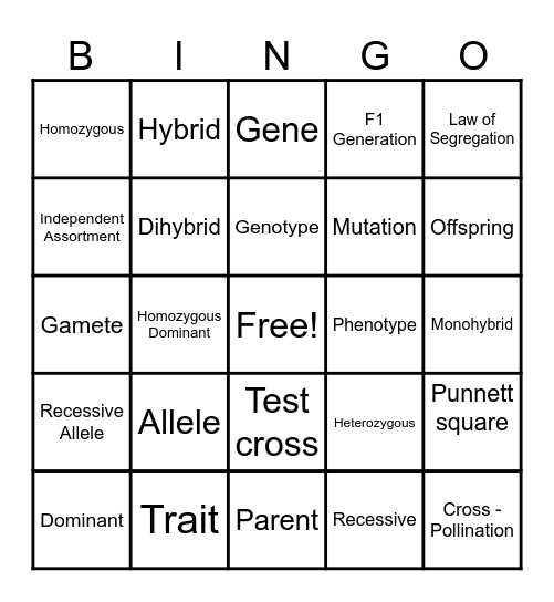 Genetics Bingo Card