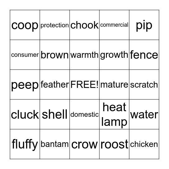 From Egg to Chick Bingo Card