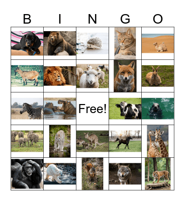 LOOMADE BINGO Card