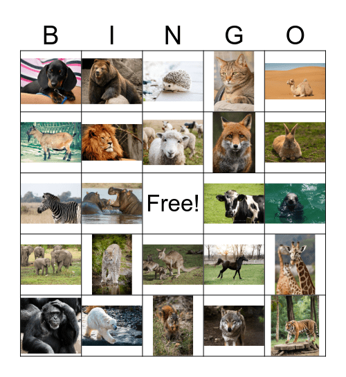 LOOMADE BINGO Card